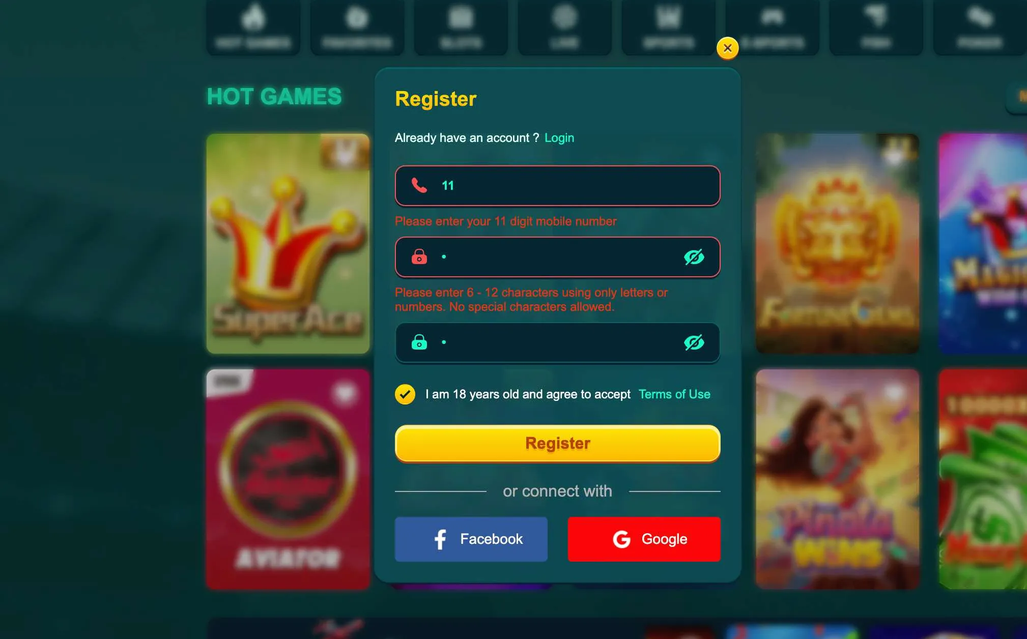 EK333 registration form with errors